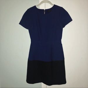 BCBGMAXAZRIA Color Block Dress